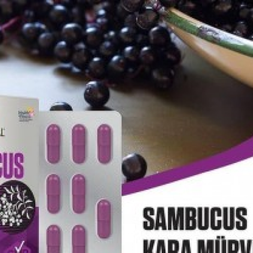 Потужні імунні та противірусні властивості бузини